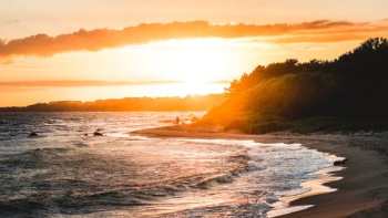 sea shore during sunset sea shore during sunset