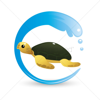 Sea turtle Sea turtle