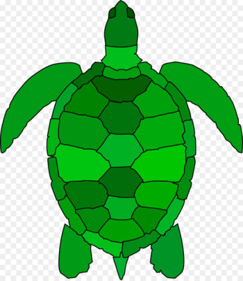 Sea turtle Clip art Openclipart Free content - turtle Sea turtle Clip art Openclipart Free content - turtle