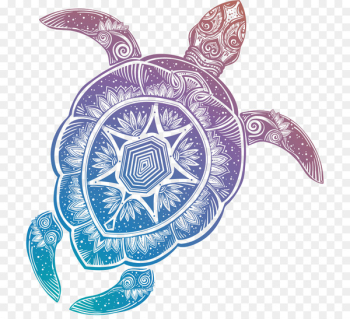 Sea turtle RSS Web feed Blog Tortoise - sea turtle Sea turtle RSS Web feed Blog Tortoise - sea turtle