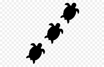Sea Turtle, Turtle, Black White M PNG Sea Turtle, Turtle, Black White M PNG
