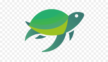 Sea Turtle, Turtle, Marine Mammal PNG Sea Turtle, Turtle, Marine Mammal PNG