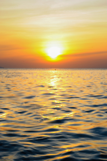 Sea Under Golden Hour Sea Under Golden Hour