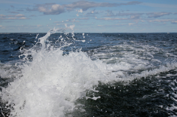 Sea Water Splash