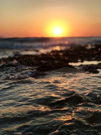 sea waves during golden hour sea waves during golden hour