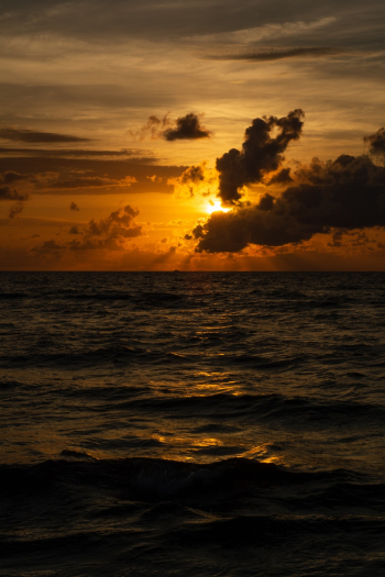 Sea Waves during Golden Hour Sea Waves during Golden Hour