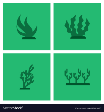 Seabed stock collection vector image Seabed stock collection vector image