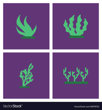 Seabed stock collection vector image Seabed stock collection vector image