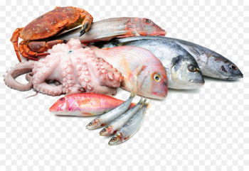 Seafood Asado Fish as food Squid as food - seafood Seafood Asado Fish as food Squid as food - seafood