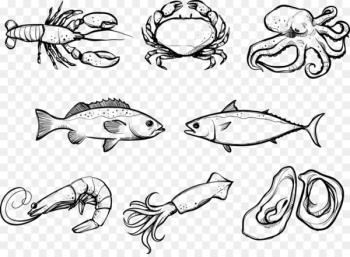 Seafood Crab Euclidean vector - Vector crab Seafood Crab Euclidean vector - Vector crab