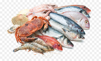Seafood Fish market Restaurant - fish Seafood Fish market Restaurant - fish