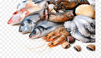 Seafood Fish market Top Choice Fish Lobster - fish Seafood Fish market Top Choice Fish Lobster - fish