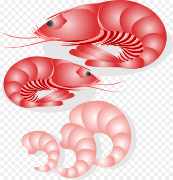 Seafood Japanese Cuisine Fish - Japanese seafood vector download 