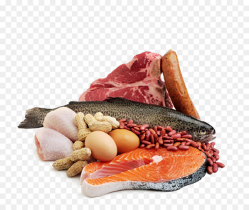 Seafood Meat Fish Protein - meat Seafood Meat Fish Protein - meat