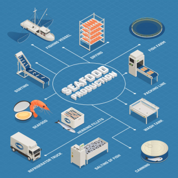 Seafood production process flowchart Free Vector Seafood production process flowchart Free Vector
