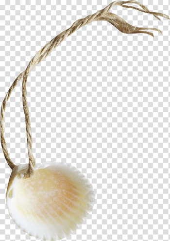 Seafood Seashell , Seashells transparent background PNG clipart Seafood Seashell , Seashells transparent background PNG clipart