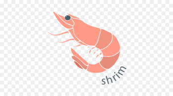 Seafood Shrimp Lobster Clam Clip art - Shrimp Seafood Shrimp Lobster Clam Clip art - Shrimp