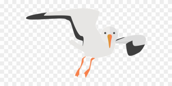 Seagull Animal Water Bird Nature Sea Bird - Transparent Background Seagull Clipart Seagull Animal Water Bird Nature Sea Bird - Transparent Background Seagull Clipart