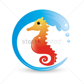 Seahorse Seahorse