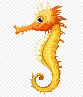 Seahorse Clip art - seahorse Seahorse Clip art - seahorse