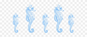 Seahorse Clipart Border - Seahorse Clipart Border Seahorse Clipart Border - Seahorse Clipart Border