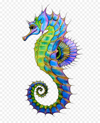 Seahorse Drawing Art Clip art - Seahorse PNG Seahorse Drawing Art Clip art - Seahorse PNG