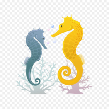 Seahorse Illustration - Seahorse illustration Seahorse Illustration - Seahorse illustration