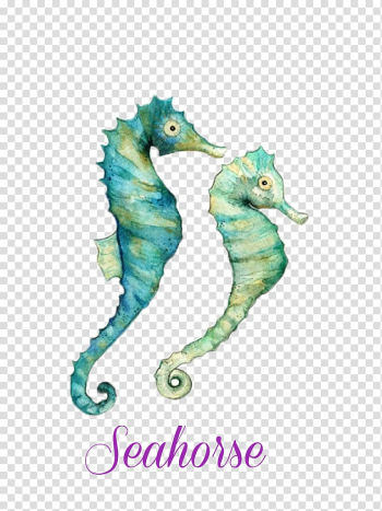 Seahorse Watercolor painting Art, seahorse transparent background PNG clipart Seahorse Watercolor painting Art, seahorse transparent background PNG clipart