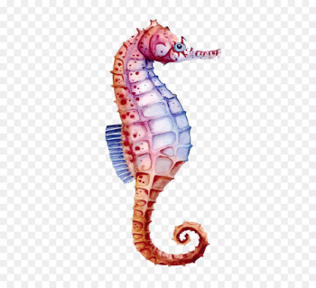 Seahorse Watercolor painting Drawing - Color hippo Seahorse Watercolor painting Drawing - Color hippo