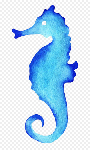 Seahorse Watercolor painting Drawing - starfish Seahorse Watercolor painting Drawing - starfish