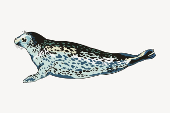 Seal sticker, sea life illustration | Free PSD - rawpixel