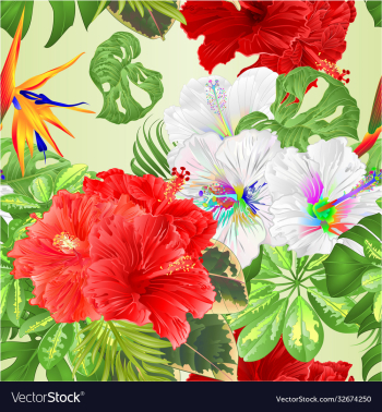 seamless texture bouquet with tropical flowers