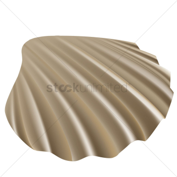 Seashell Seashell