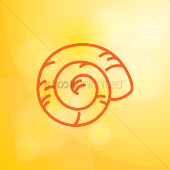 Seashell Seashell