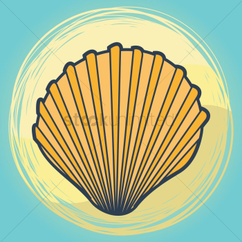 Seashell Seashell