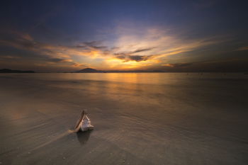Seashell at Seashore Seashell at Seashore