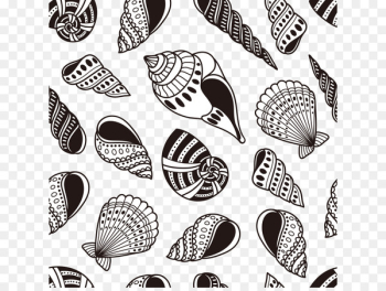Seashell - conch Seashell - conch