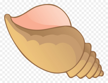 Seashell Conch Clip art Image Drawing - seashell Seashell Conch Clip art Image Drawing - seashell