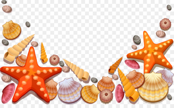 Seashell, Conch, Encapsulated Postscript, Orange, Shell PNG Seashell, Conch, Encapsulated Postscript, Orange, Shell PNG