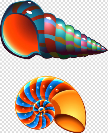 Seashell Conch Mollusc shell , Colorful conch transparent background PNG clipart Seashell Conch Mollusc shell , Colorful conch transparent background PNG clipart