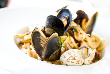 Seashell Dish Seashell Dish