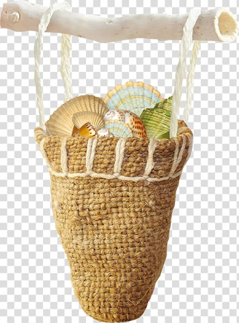 Seashell Mollusc shell Pearl, Seashells transparent background PNG clipart Seashell Mollusc shell Pearl, Seashells transparent background PNG clipart
