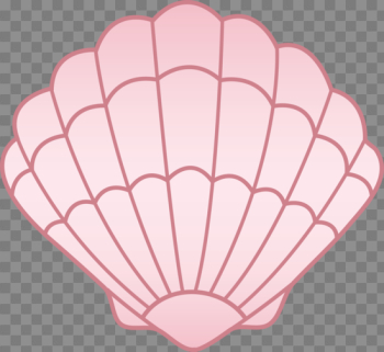 Seashell Transparent Seashell Transparent