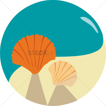 Seashells Seashells