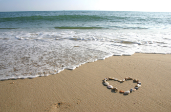 Seashells in the shape of a heart. Seashells in the shape of a heart.