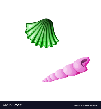 seashells isolated on white background seashells isolated on white background