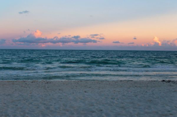 seashore with sea during golden hour seashore with sea during golden hour