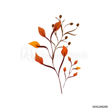 season autumn branch with leafs season autumn branch with leafs