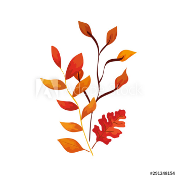 season autumn branches with leafs season autumn branches with leafs