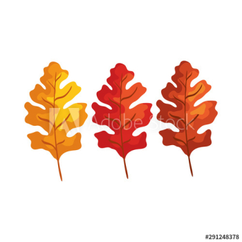 season autumn leafs icon season autumn leafs icon